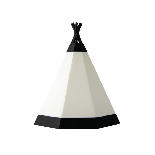 Native Natural - immagine 5
