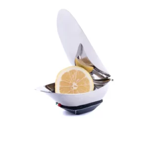 Spremi limone in acciaio