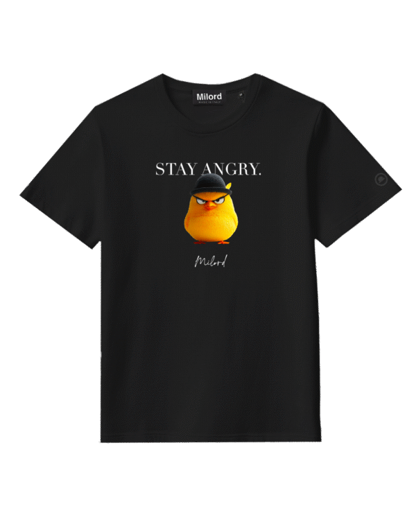 T-shirt STAY ANGRY (black)