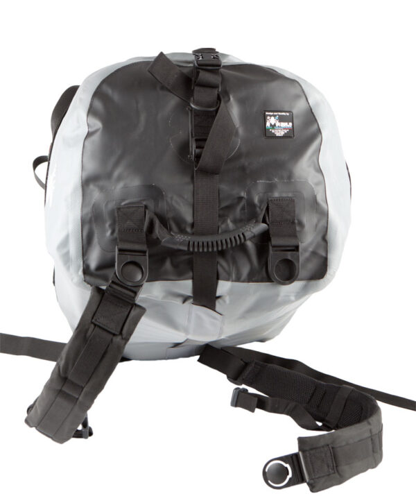 Cargo MS - immagine 2