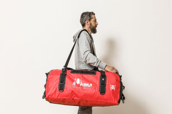 Cargo - immagine 6